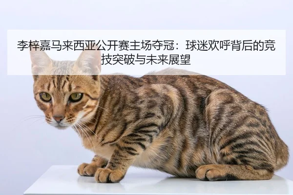 li-zi-jia-ma-lai-xi-ya-gong-kai-sai-zhu-chang-duo-guan-qiu-mi-huan-hu-bei-hou-de-jing-ji-tu-po-yu-wei-lai-zhan-wang-2-772.jpg