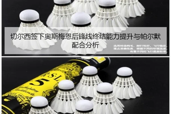 qie-er-xi-qian-xia-ao-si-mei-en-hou-feng-xian-zhong-jie-neng-li-ti-sheng-yu-pa-er-mo-pei-he-fen-xi-2-798.jpg